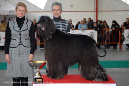 gal/Expo_janvier_2008/zoom (71).jpg